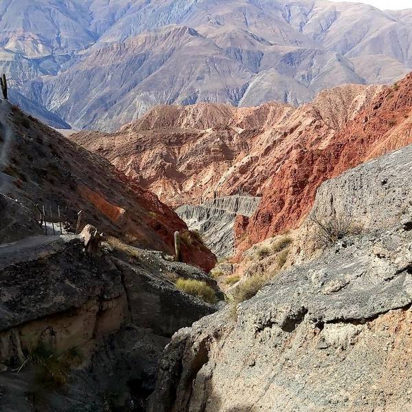 Cerro Bayo, un lugar Mágico y digno de conocer