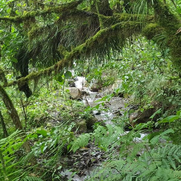 Cascada de Los Paños