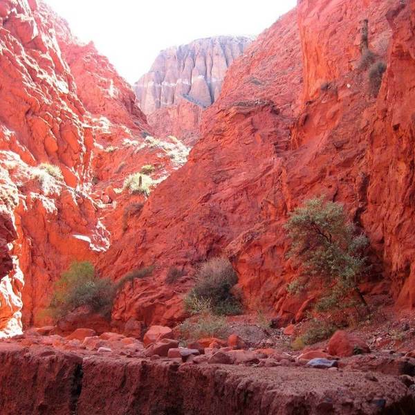 Quebrada de las Señoritas, Uquía